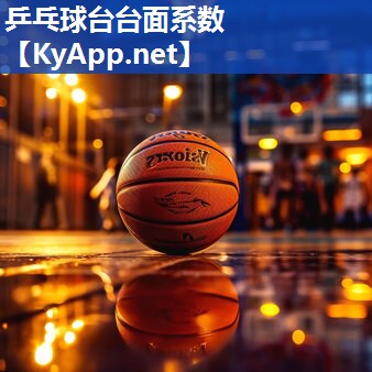 乒乓球台台面系数