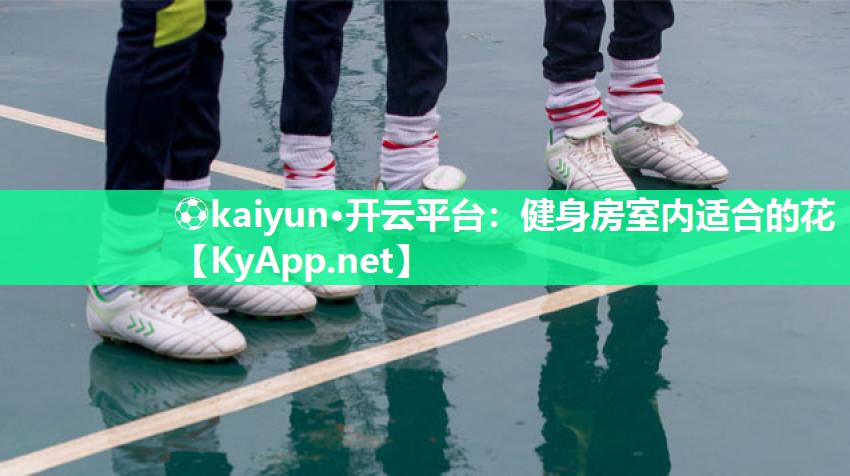 ⚽kaiyun·开云平台：健身房室内适合的花