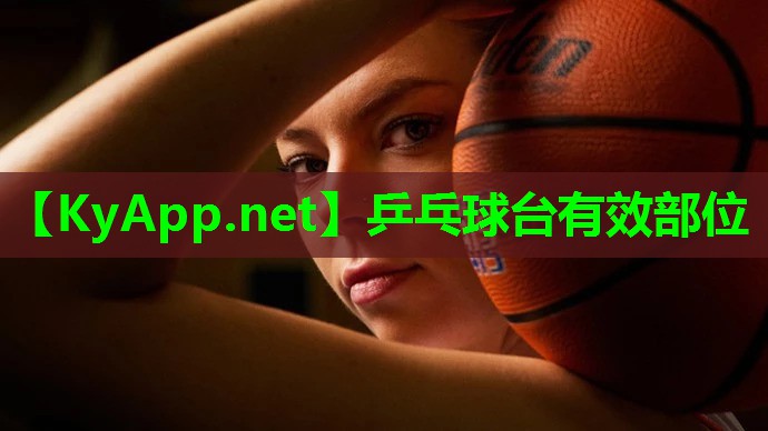 乒乓球台有效部位