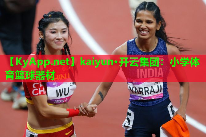 kaiyun·开云集团：小学体育篮球器材