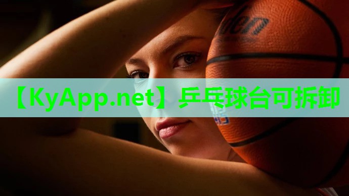 乒乓球台可拆卸