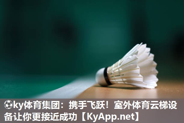 携手飞跃！室外体育云梯设备让你更接近成功