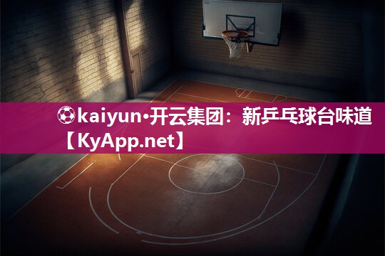新乒乓球台味道