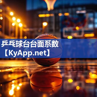 乒乓球台台面系数