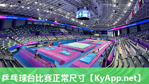 乒乓球台比赛正常尺寸