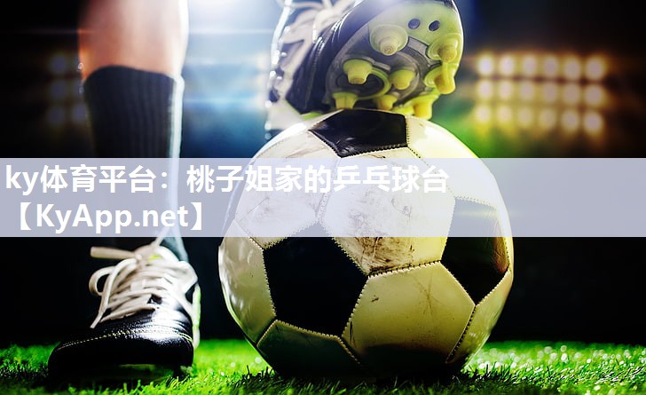 桃子姐家的乒乓球台