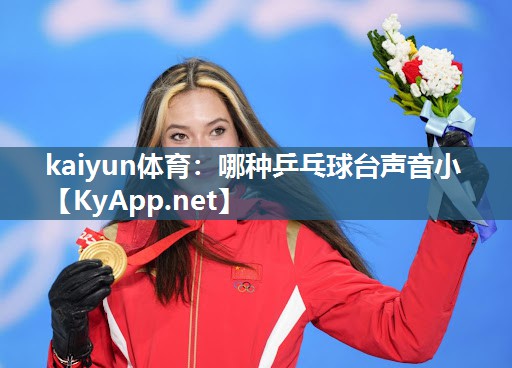 哪种乒乓球台声音小