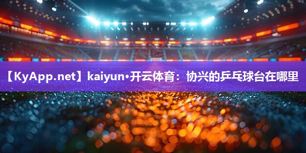 协兴的乒乓球台在哪里