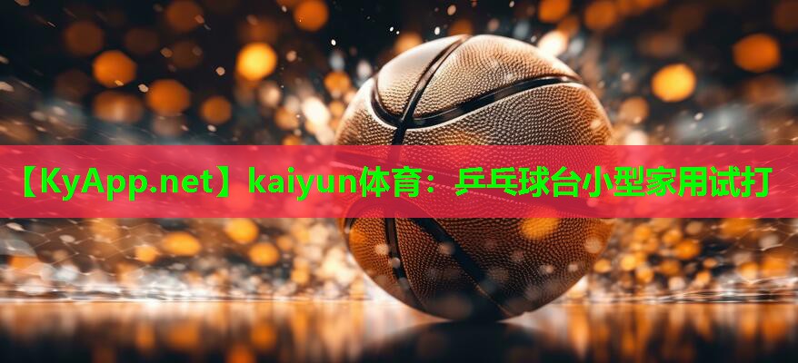 乒乓球台小型家用试打