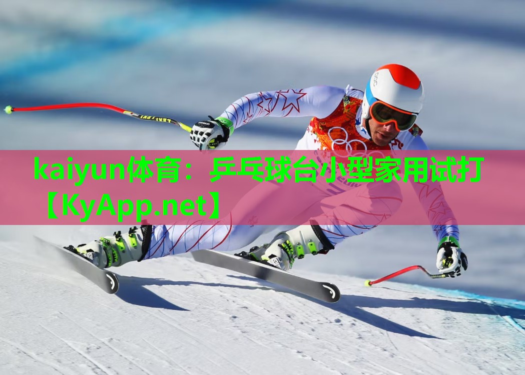 乒乓球台小型家用试打