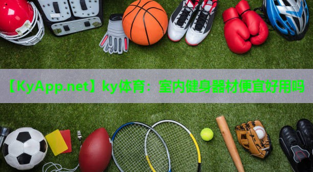 室内健身器材便宜好用吗