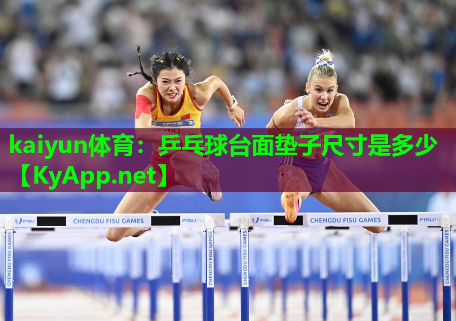乒乓球台面垫子尺寸是多少