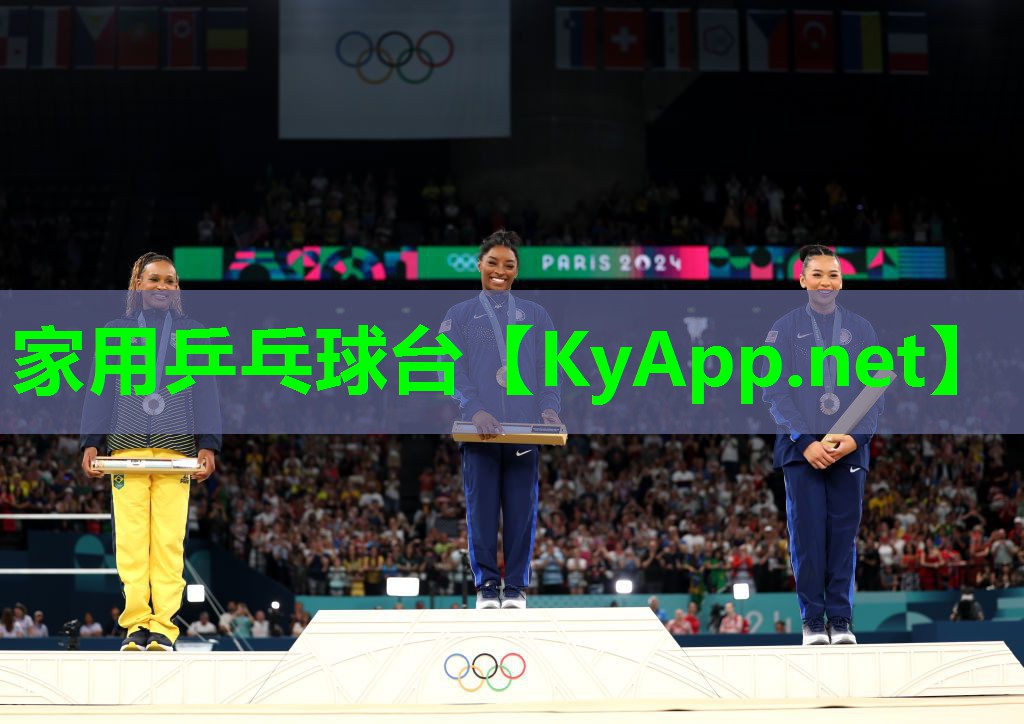 家用乒乓球台